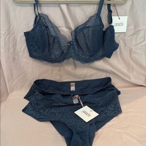 NWT Panache 32 FF (32 G-H) Elegant Lace Bra and 2 Panty Set in Steel Blue